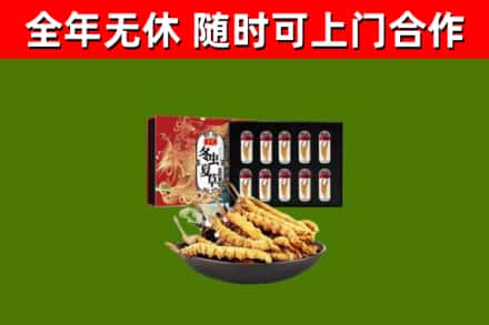 崖州回收冬虫夏草价格